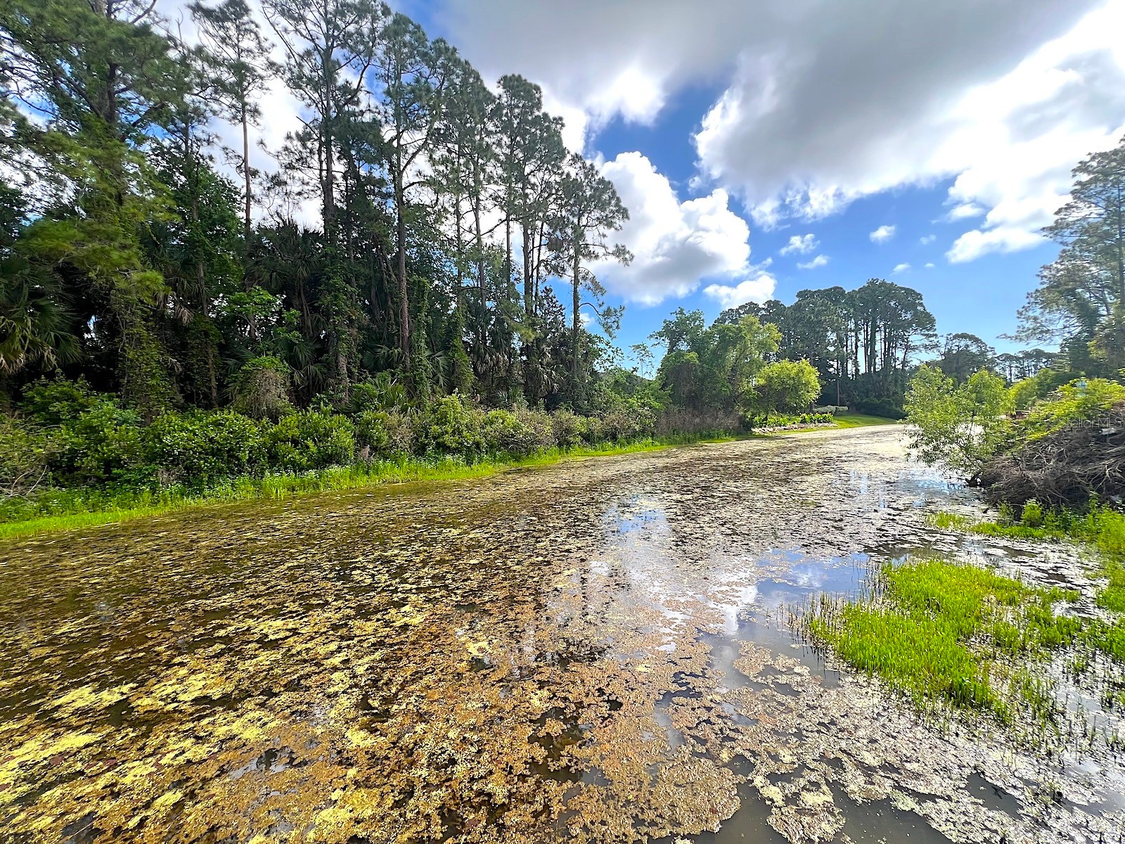 47 Pheasant Drive Palm Coast FL 32164 - PALM COAST CANAL FC318115 image65