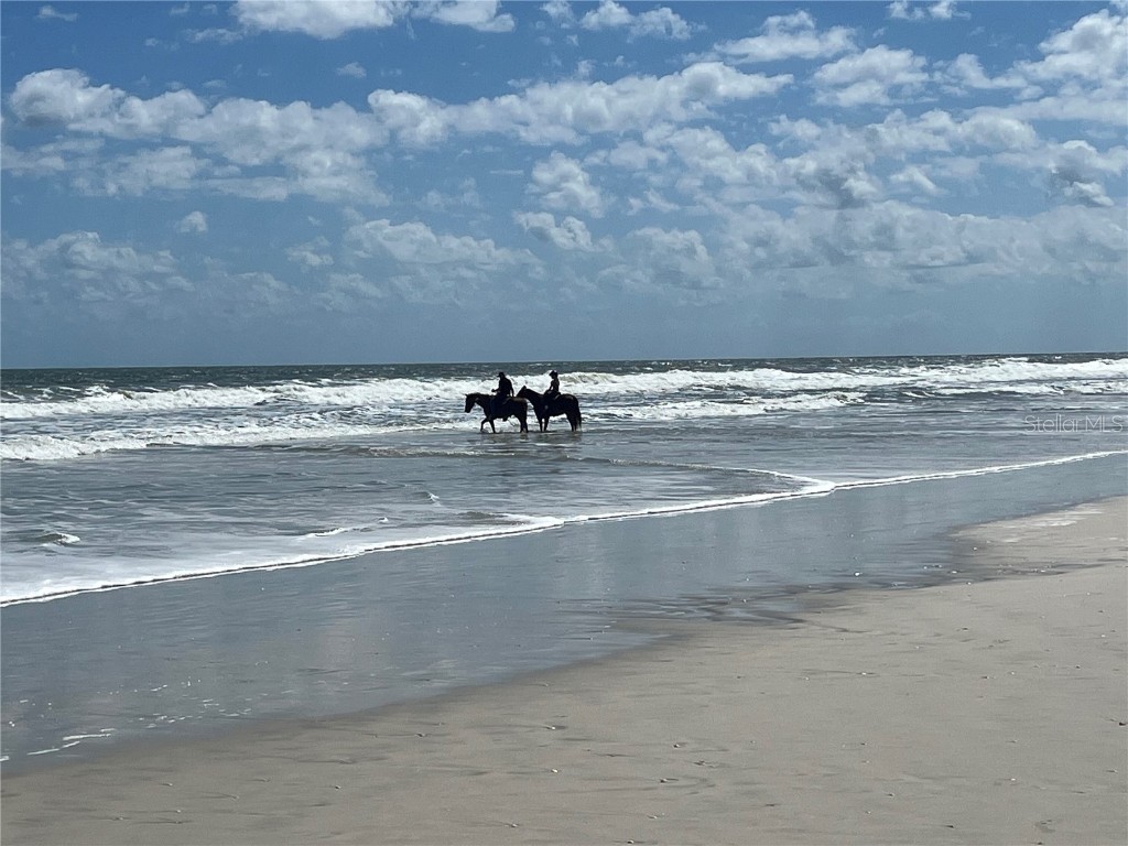 47 Rollins Drive Palm Coast FL 32137 FC296910 image10