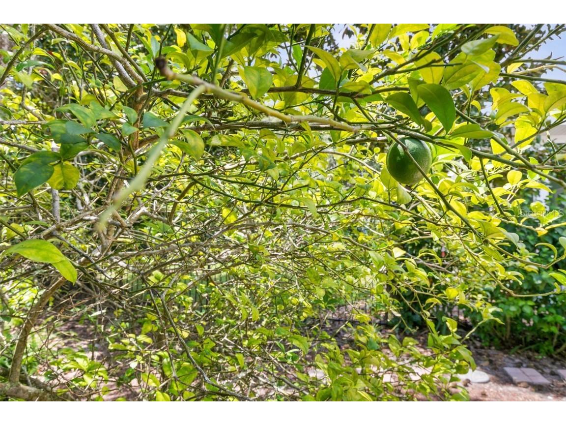 47 Sandy Beach Way Palm Coast FL 32137 FC303607 image56