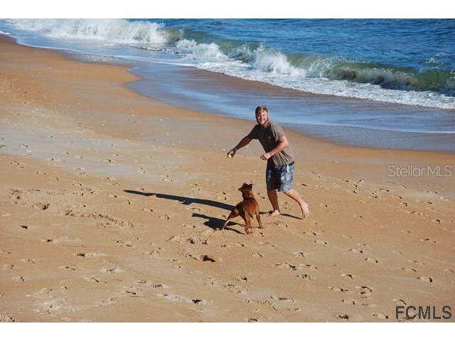 47 Shelter Cove Circle Beverly Beach FL 32136 FC254611 image20