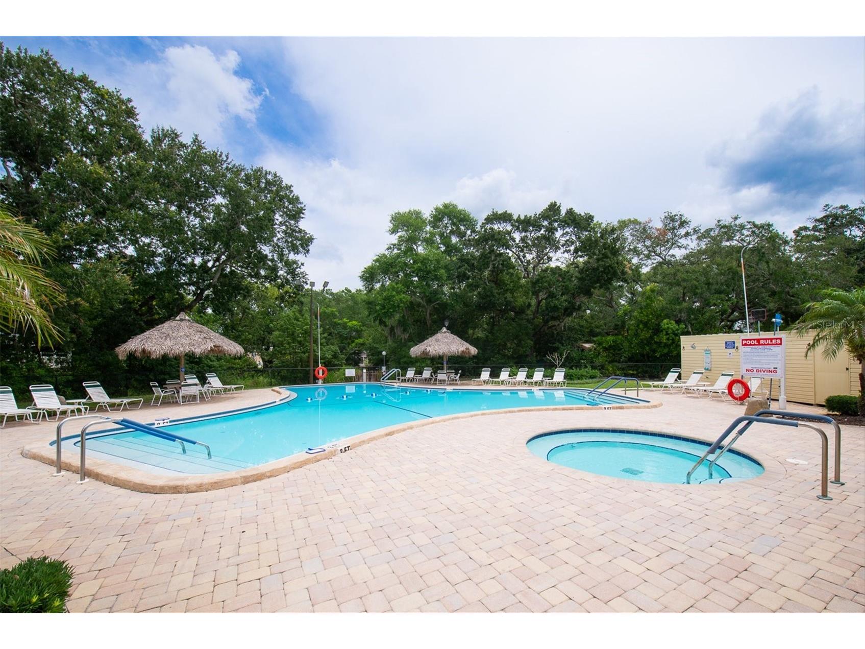 47 Sugar Bear Drive #9 Safety Harbor FL 34695 TB8518286 image36