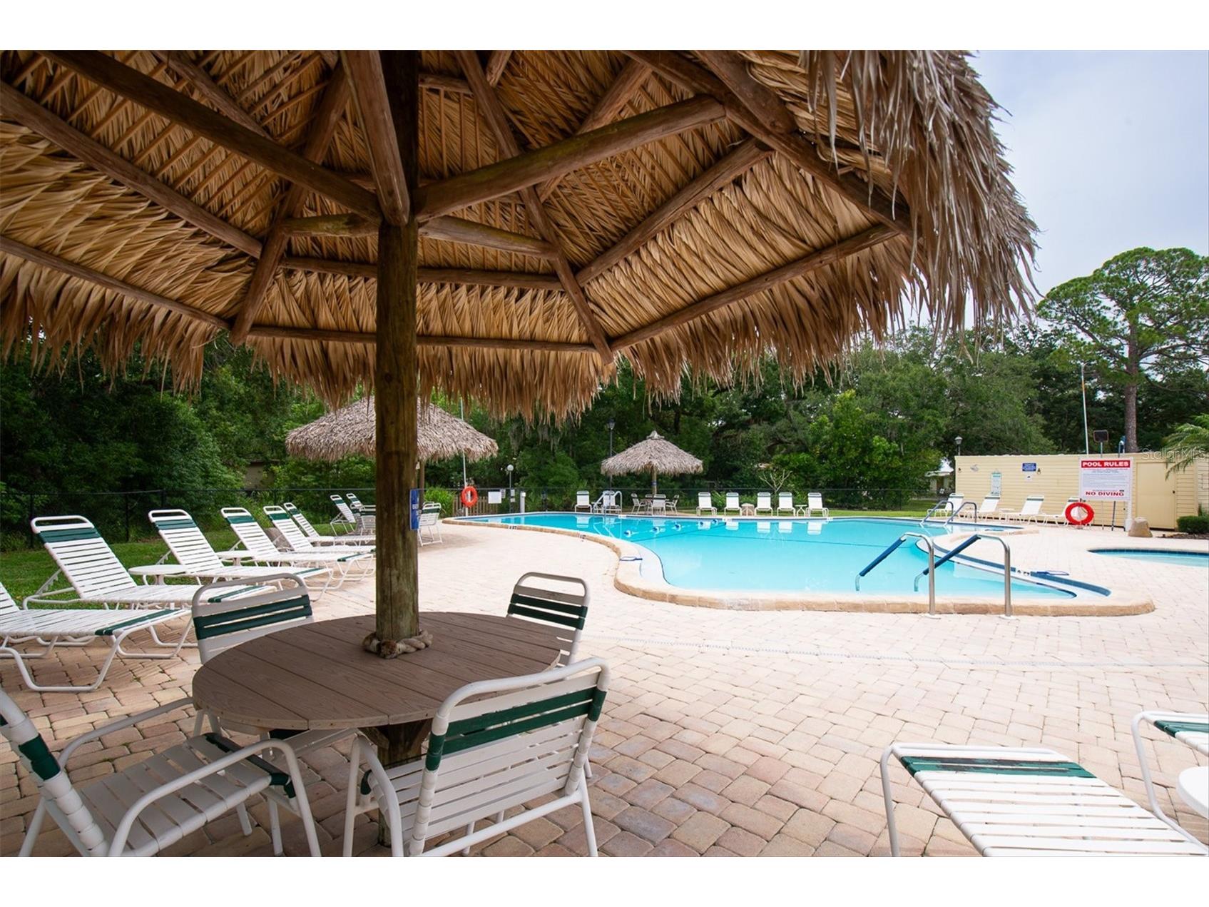 47 Sugar Bear Drive #9 Safety Harbor FL 34695 TB8518286 image37