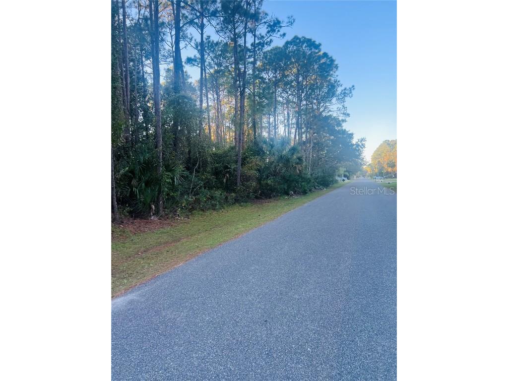 47 Ullian Trail Palm Coast FL 32164 FC305503 image1