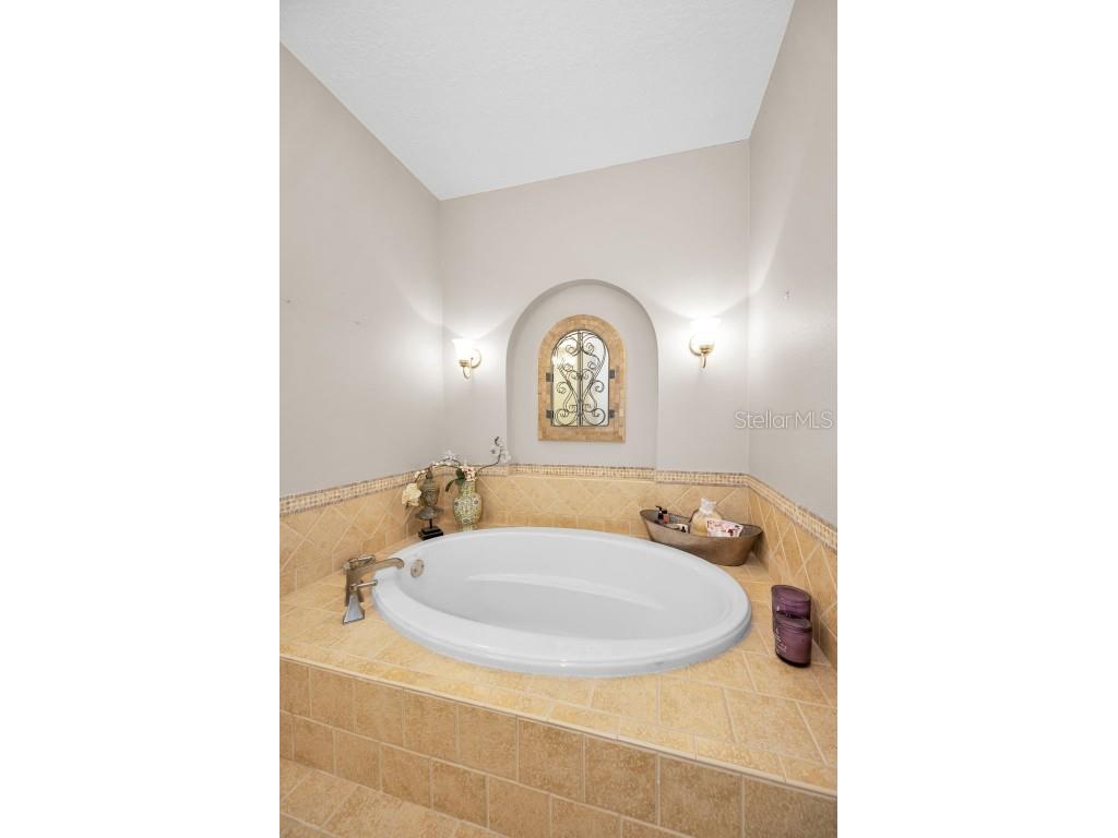 47 W Morgan Street Tarpon Springs FL 34689 TB8367587 image46