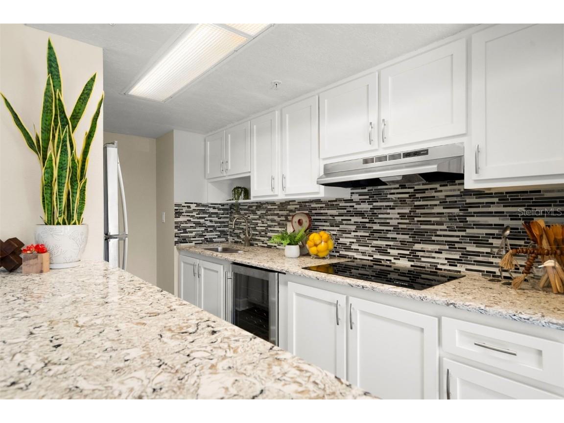 470 3rd Street S #205 Saint Petersburg FL 33701 TB8455665 image12