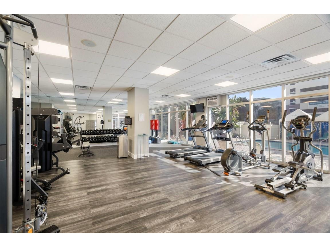 470 3rd Street S #205 Saint Petersburg FL 33701 TB8455665 image30