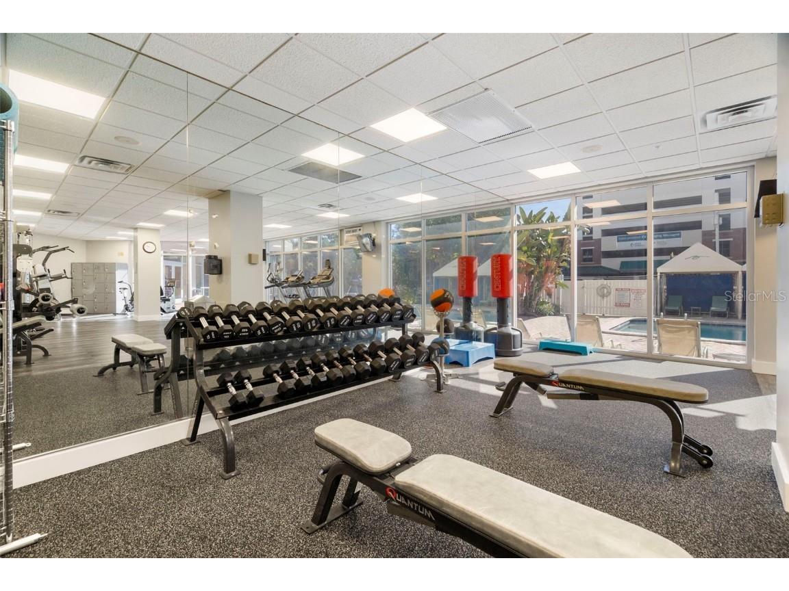 470 3rd Street S #205 Saint Petersburg FL 33701 TB8455665 image31