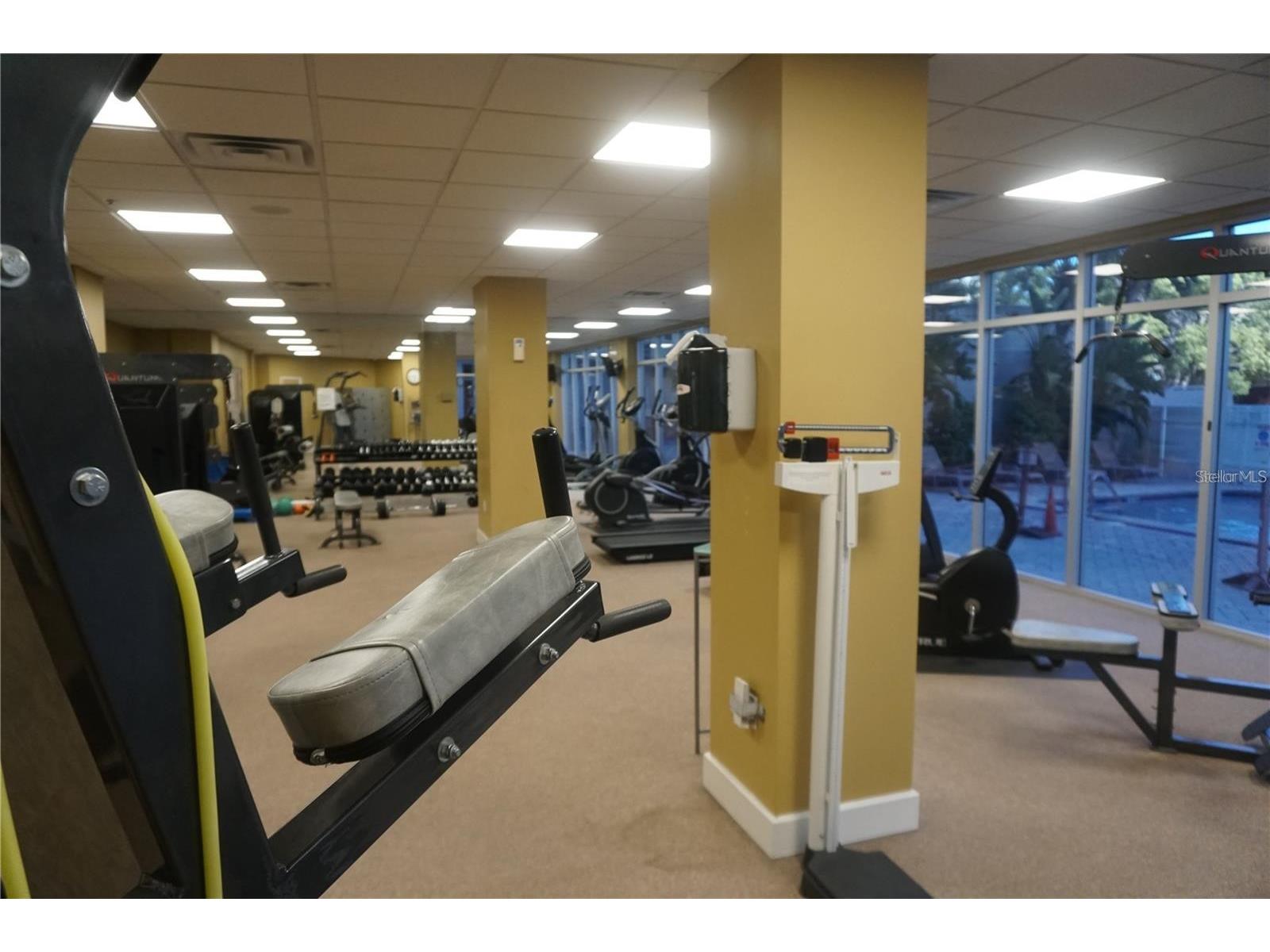 470 3rd Street S #309 Saint Petersburg FL 33701 TB8507631 image21