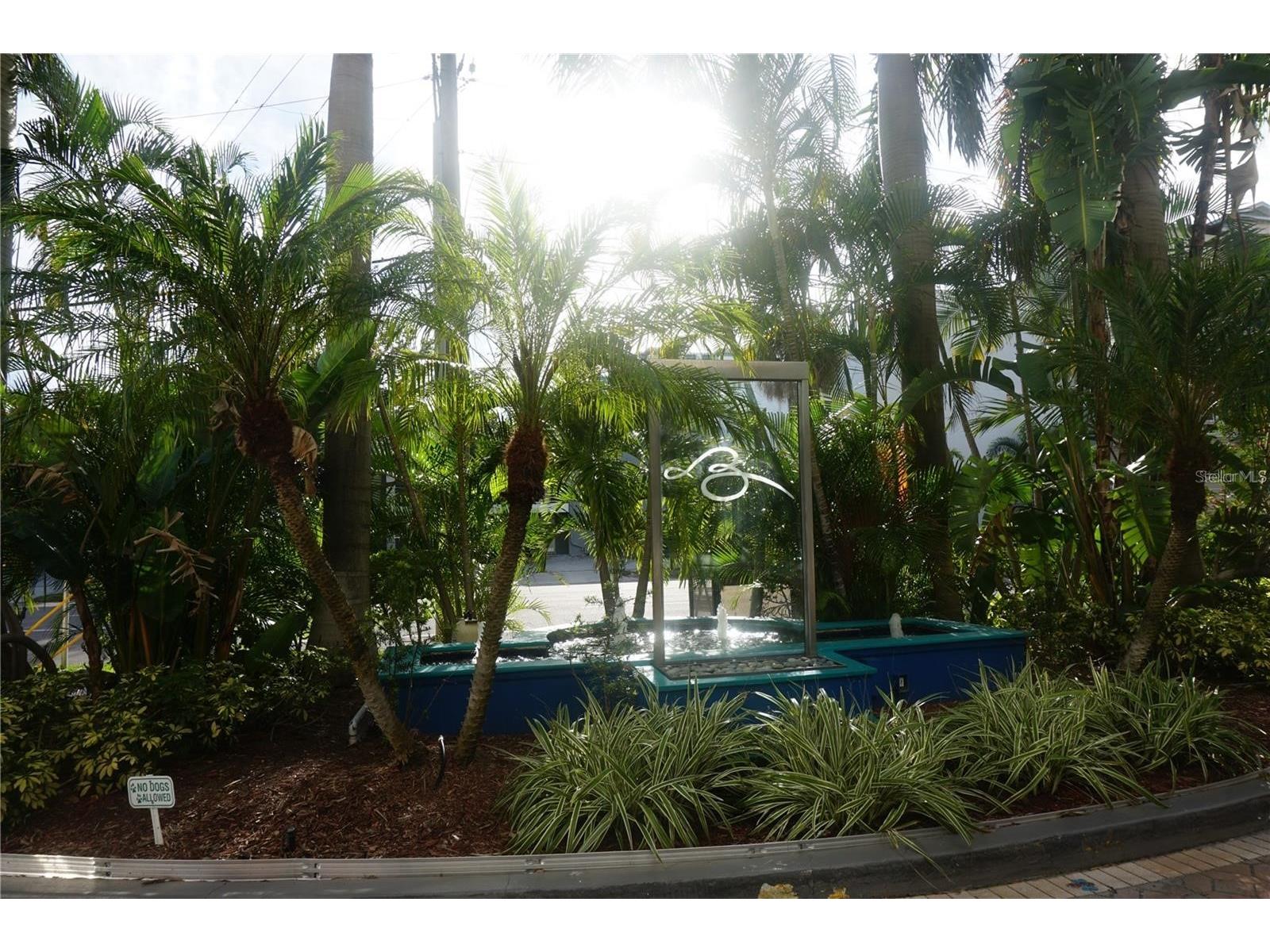 470 3rd Street S #309 Saint Petersburg FL 33701 TB8507631 image26