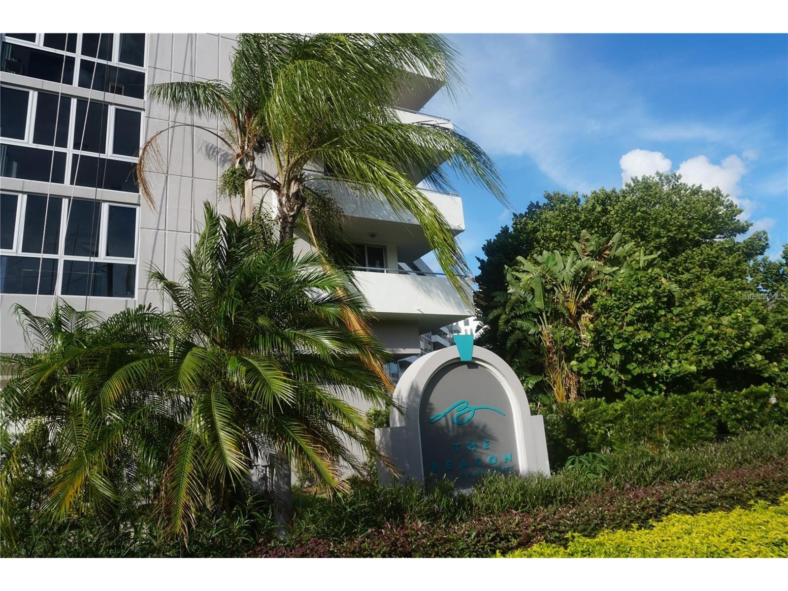 470 3rd Street S #309 Saint Petersburg FL 33701 TB8507631 image33