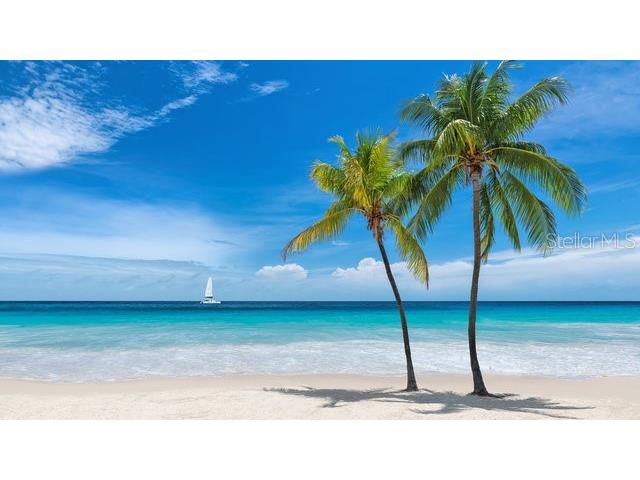 470 3rd Street S #318 Saint Petersburg FL 33701 TB8460418 image46