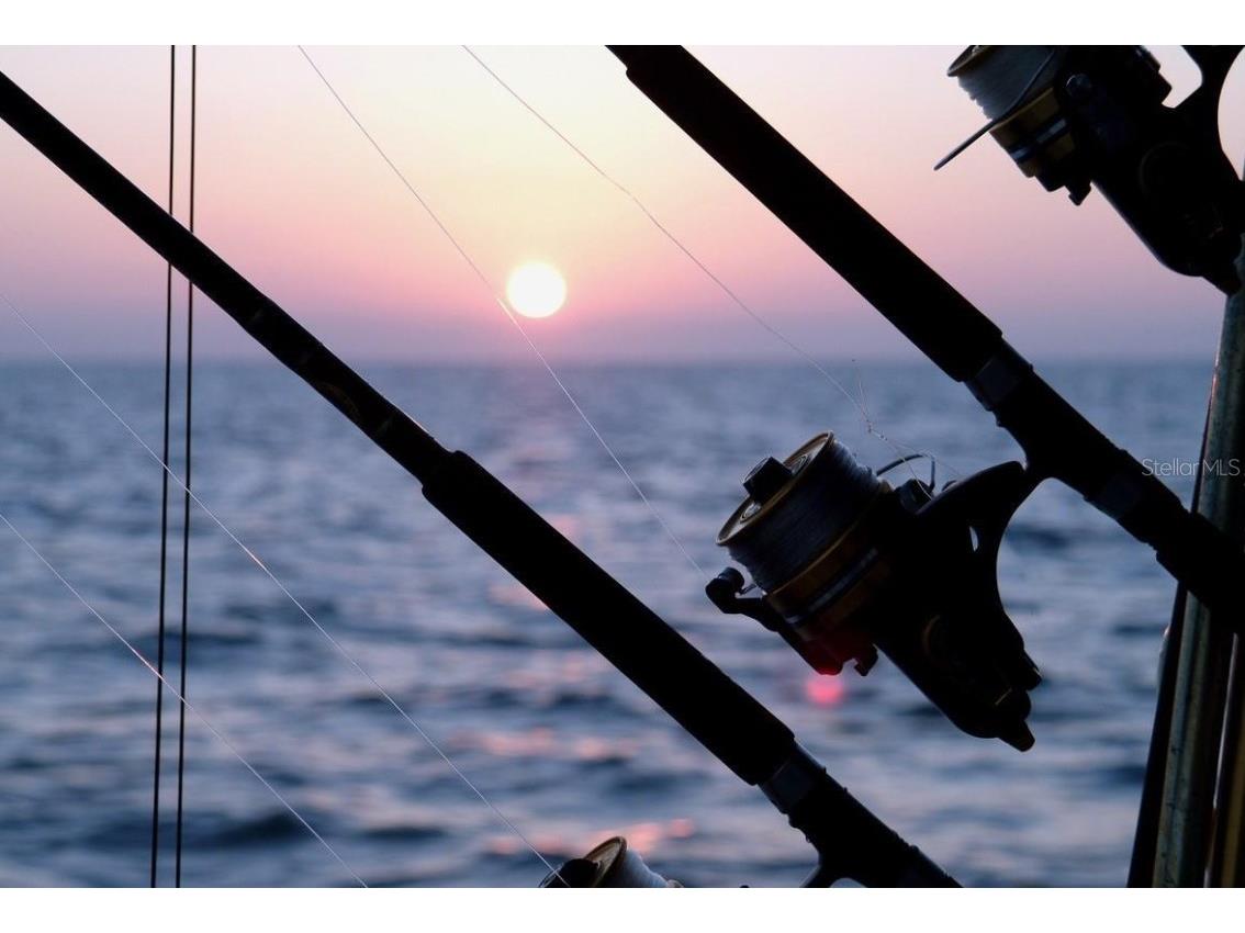 470 3rd Street S #318 Saint Petersburg FL 33701 TB8460418 image48