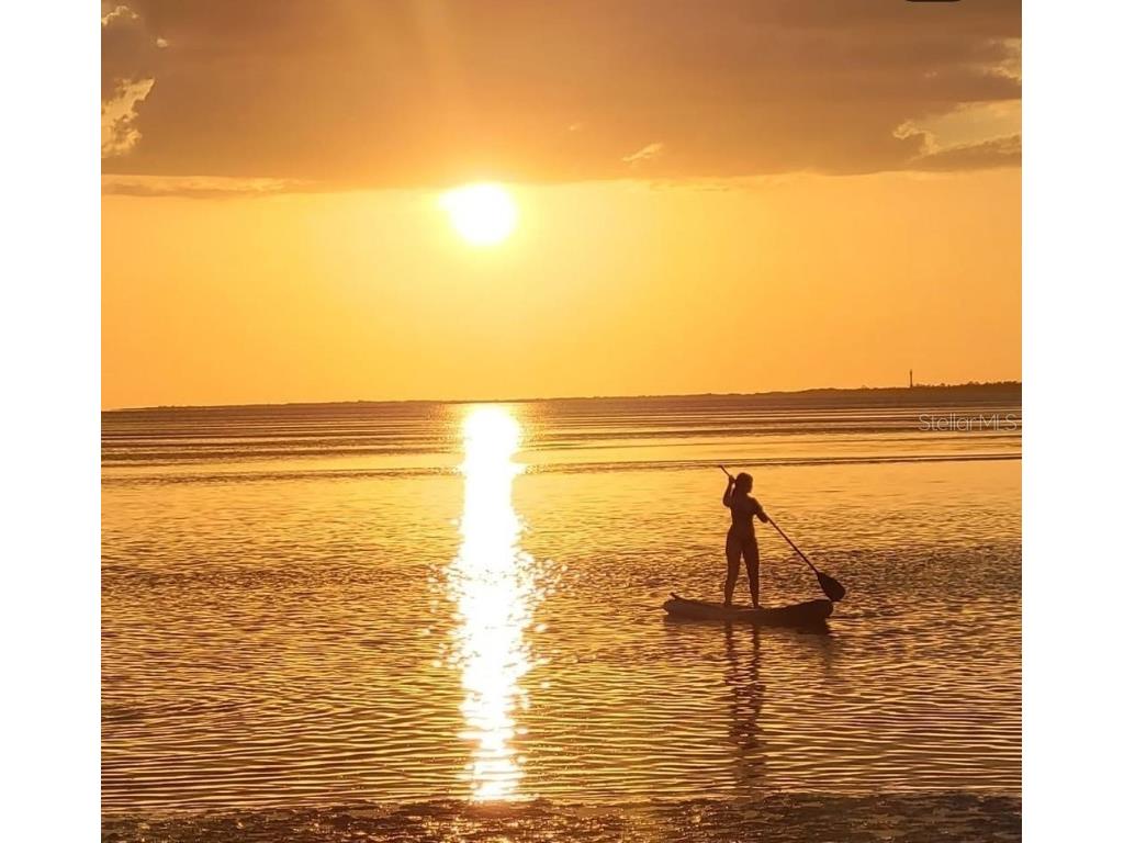 470 3rd Street S #318 Saint Petersburg FL 33701 TB8460418 image51