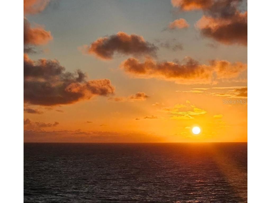 470 3rd Street S #318 Saint Petersburg FL 33701 TB8460418 image52