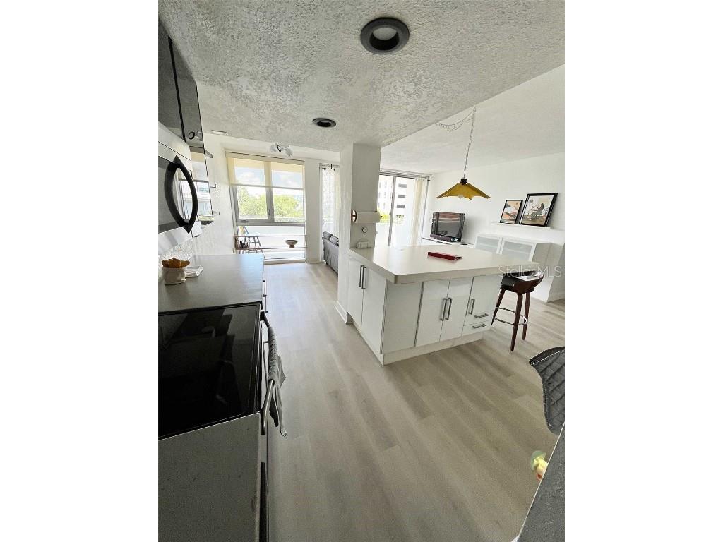 470 3rd Street S #405 Saint Petersburg FL 33701 TB8332216 image19