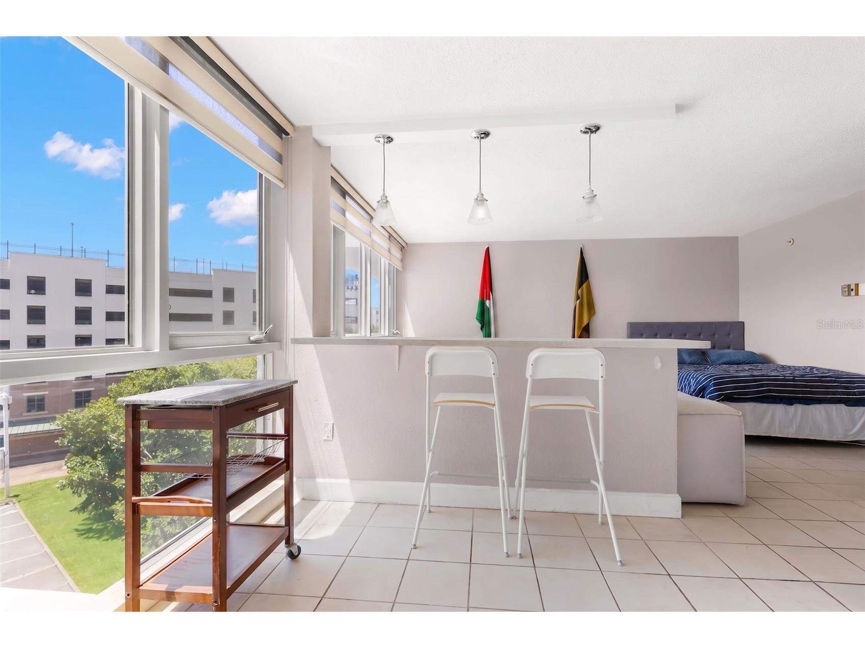 470 3rd Street S #515 Saint Petersburg FL 33701 TB8526859 image13