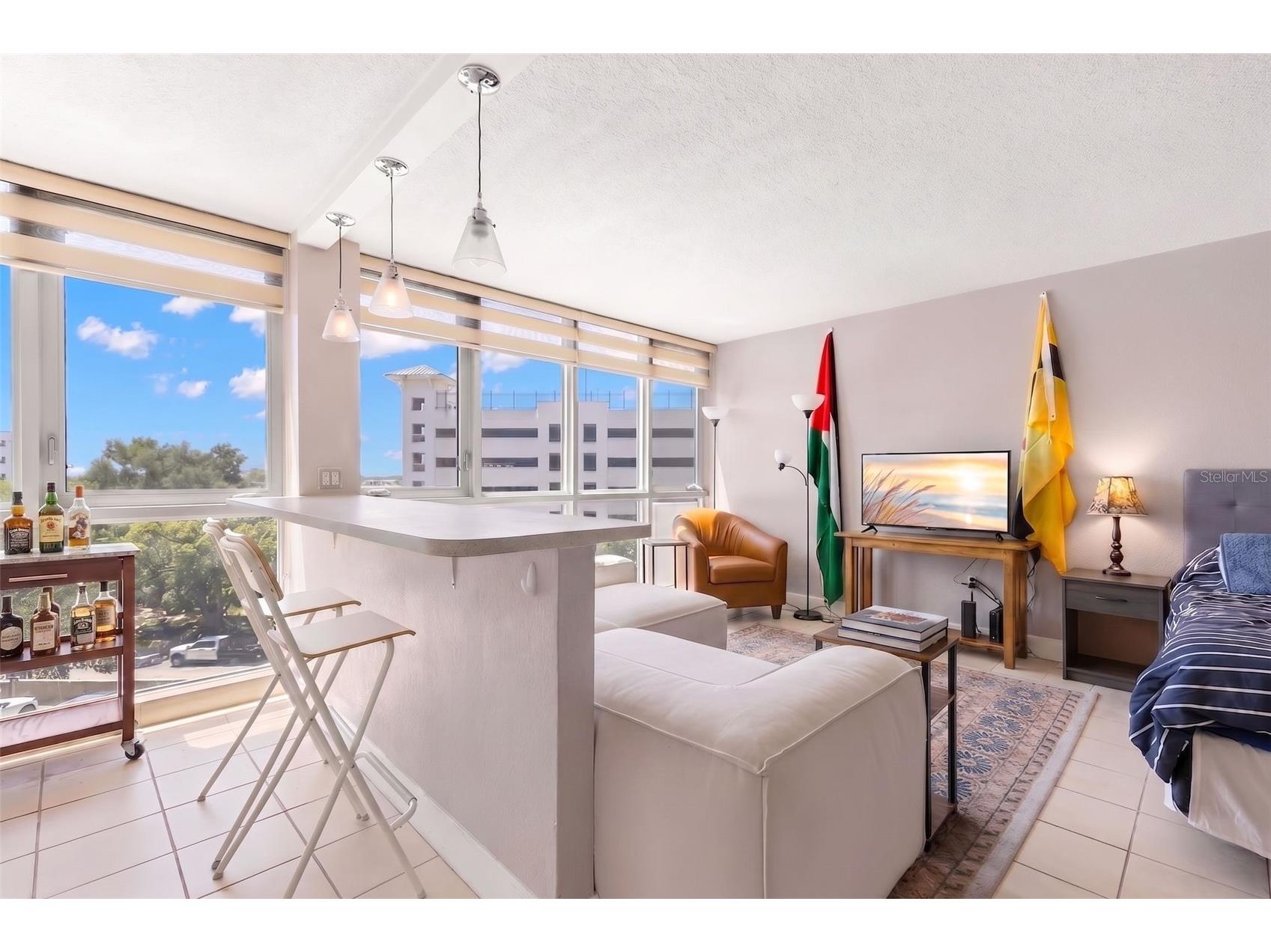 470 3rd Street S #515 Saint Petersburg FL 33701 TB8526859 image4