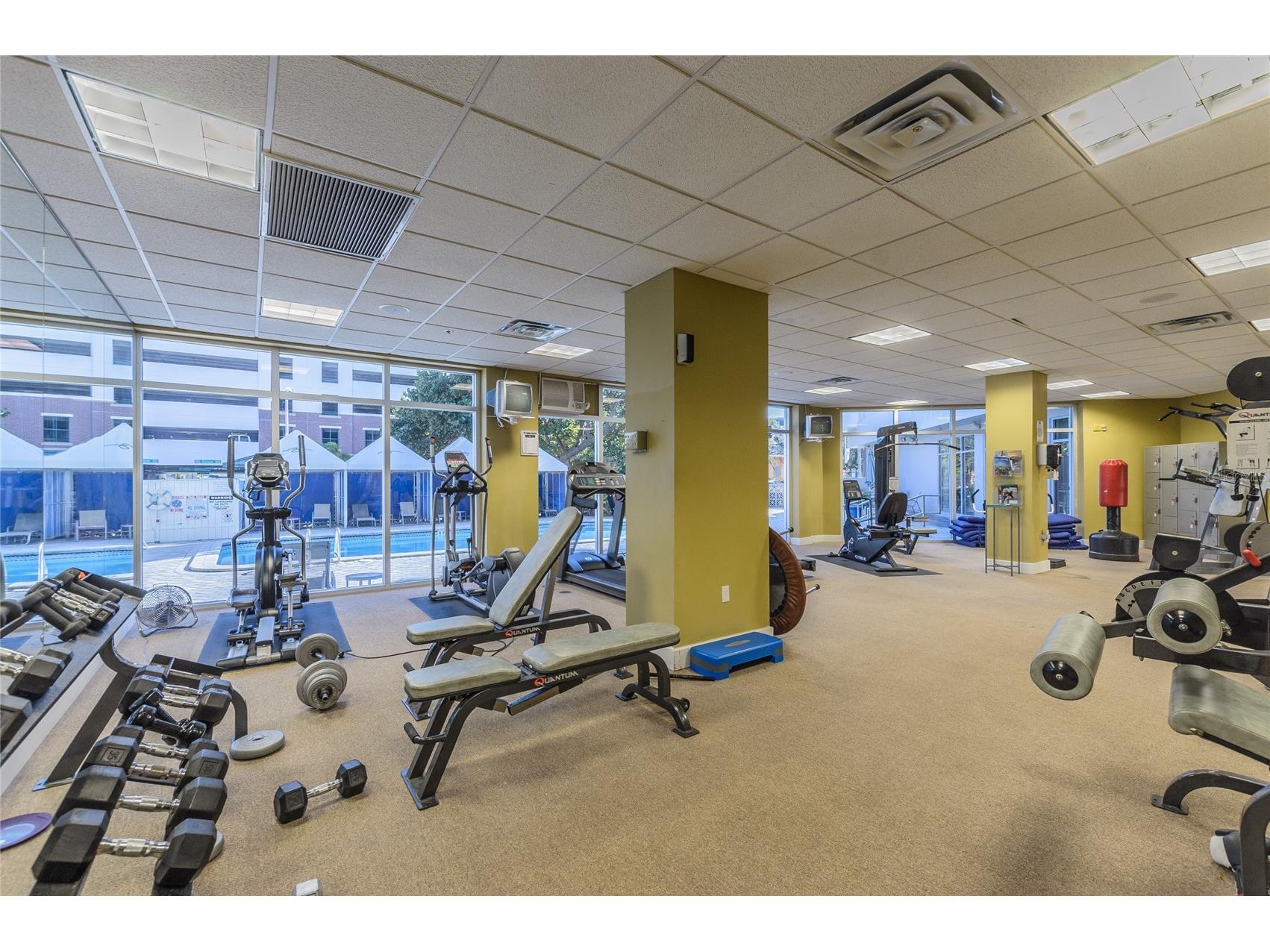 470 3rd Street S #613 Saint Petersburg FL 33701 TB8507871 image28