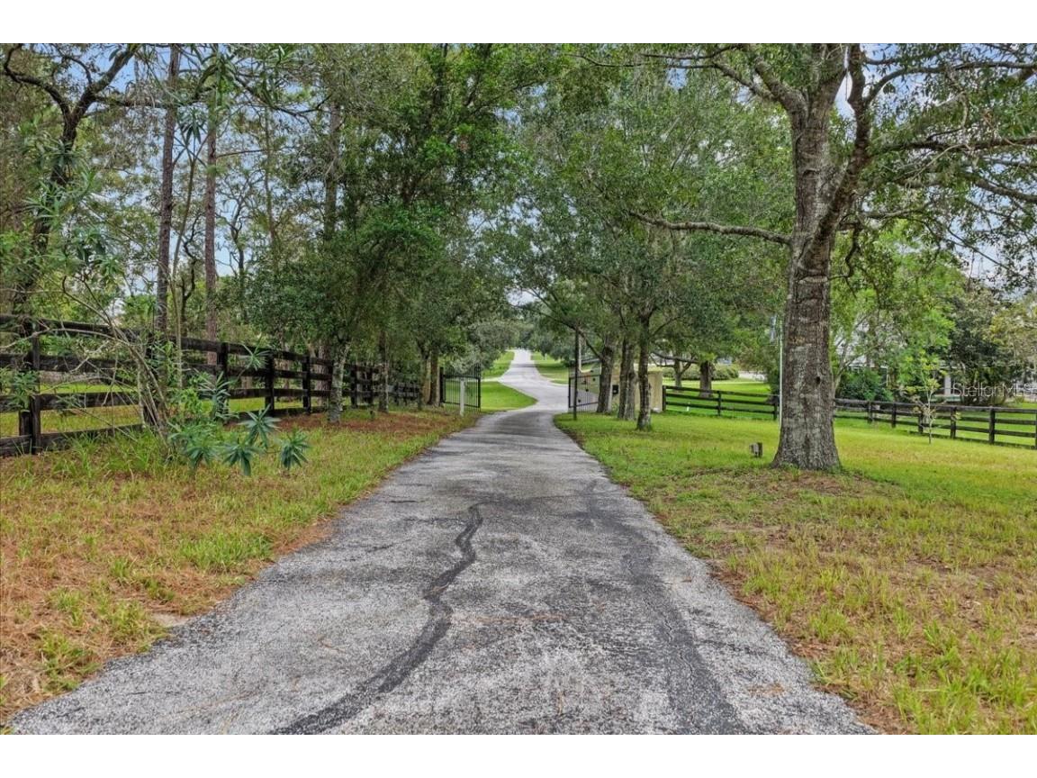 470 Fay Avenue Spring Hill FL 34609 W7879671 image6