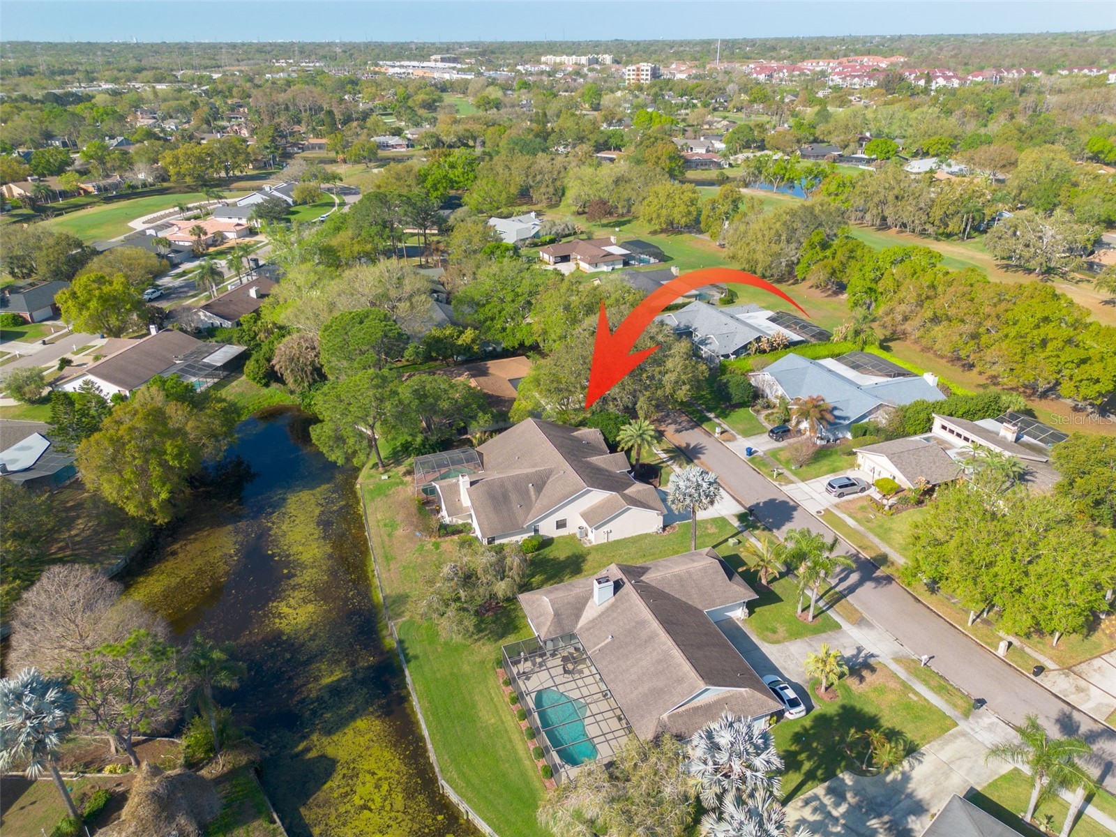 470 Hickorynut Avenue Oldsmar FL 34677 TB8485715 image31