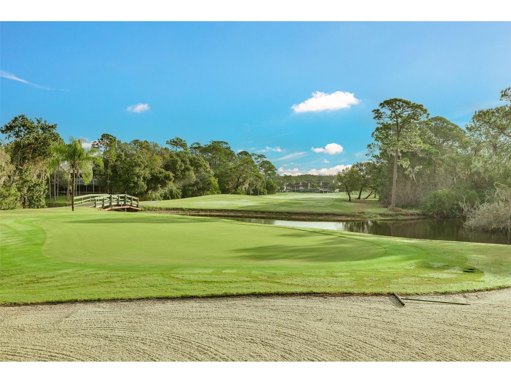 470 Hickorynut Avenue Oldsmar FL 34677 TB8485715 image32