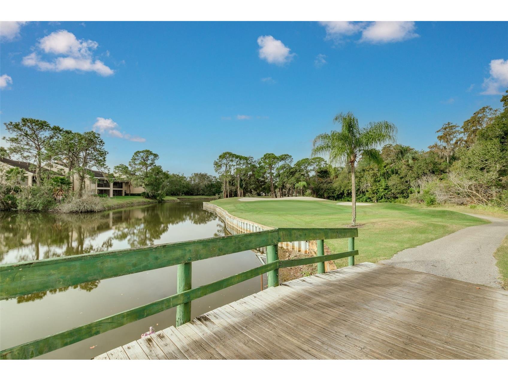 470 Hickorynut Avenue Oldsmar FL 34677 TB8485715 image33