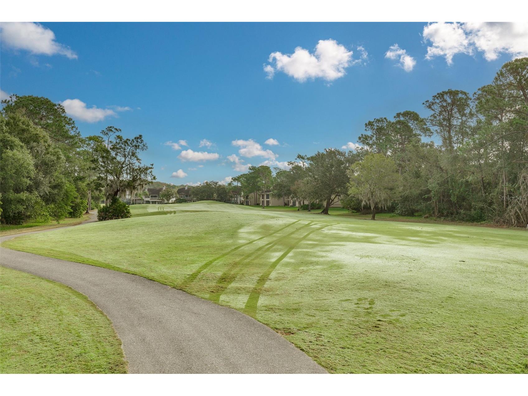 470 Hickorynut Avenue Oldsmar FL 34677 TB8485715 image34