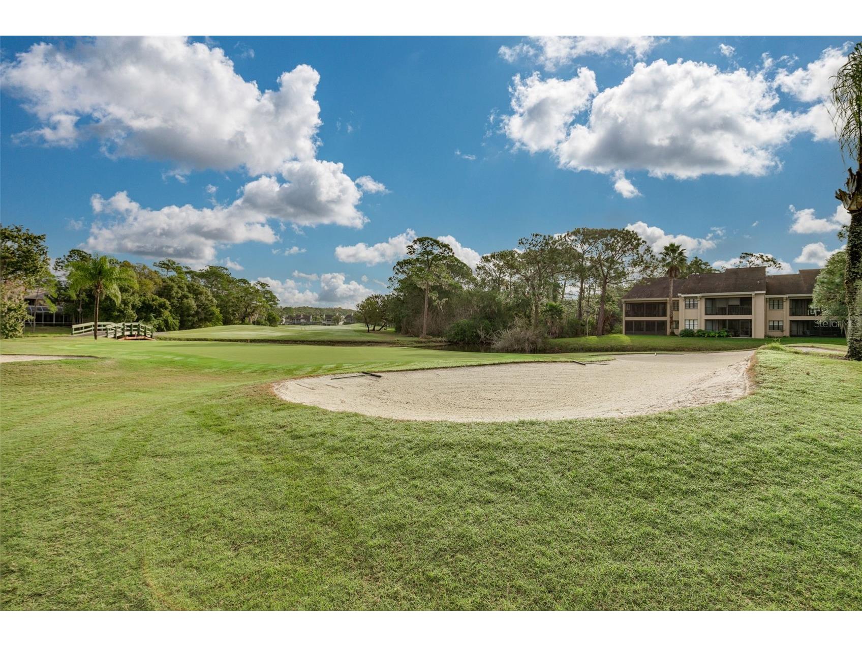 470 Hickorynut Avenue Oldsmar FL 34677 TB8485715 image35