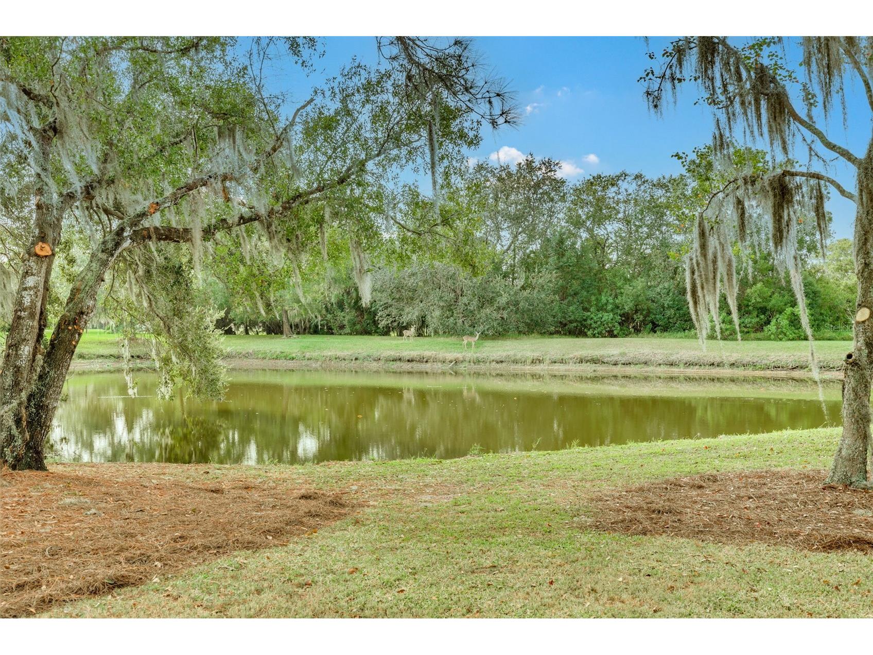 470 Hickorynut Avenue Oldsmar FL 34677 TB8485715 image36