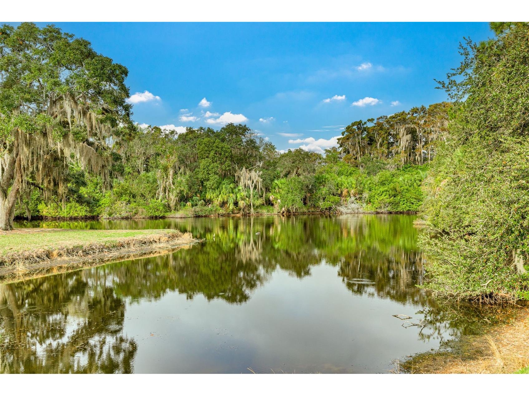 470 Hickorynut Avenue Oldsmar FL 34677 TB8485715 image37