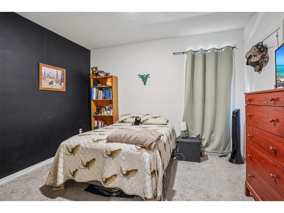 470 Liu Lane Deland FL 32724 V4945967 image22