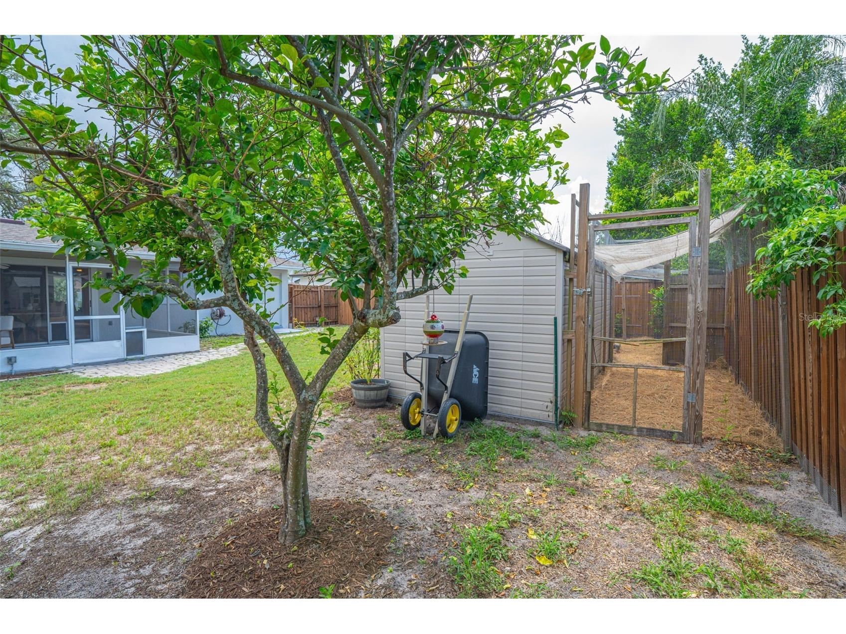 470 Meadow Sweet Court Ocoee FL 34761 O6412067 image32