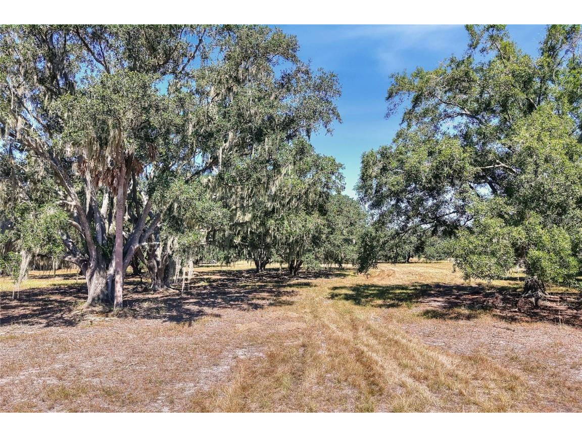 470 Moccasin Hollow Road Lithia FL 33547 TB8438736 image1