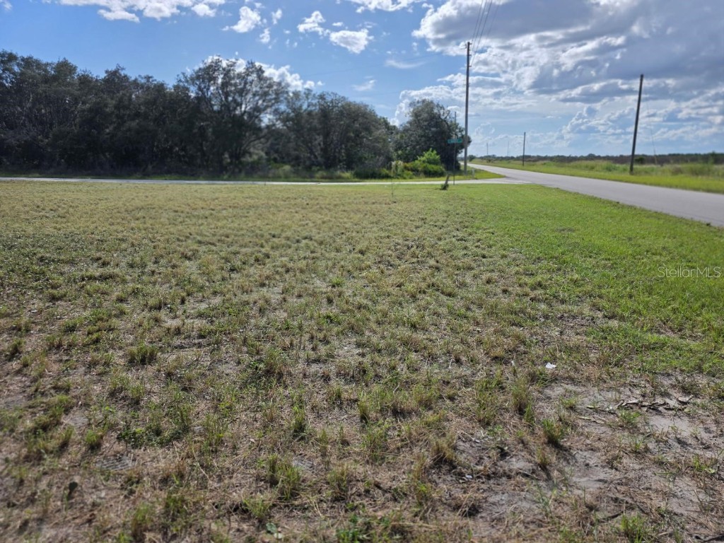 470 N Barrie Road Avon Park FL 33825 O6342607 image4