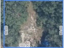 470 N Barrie Road Avon Park FL 33825 O6342607 image9