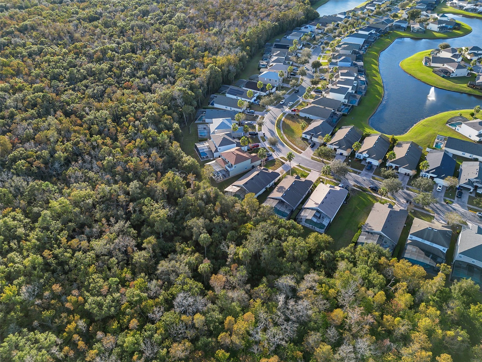 4700 Cumbrian Lakes Drive Kissimmee FL 34746 O6357976 image46