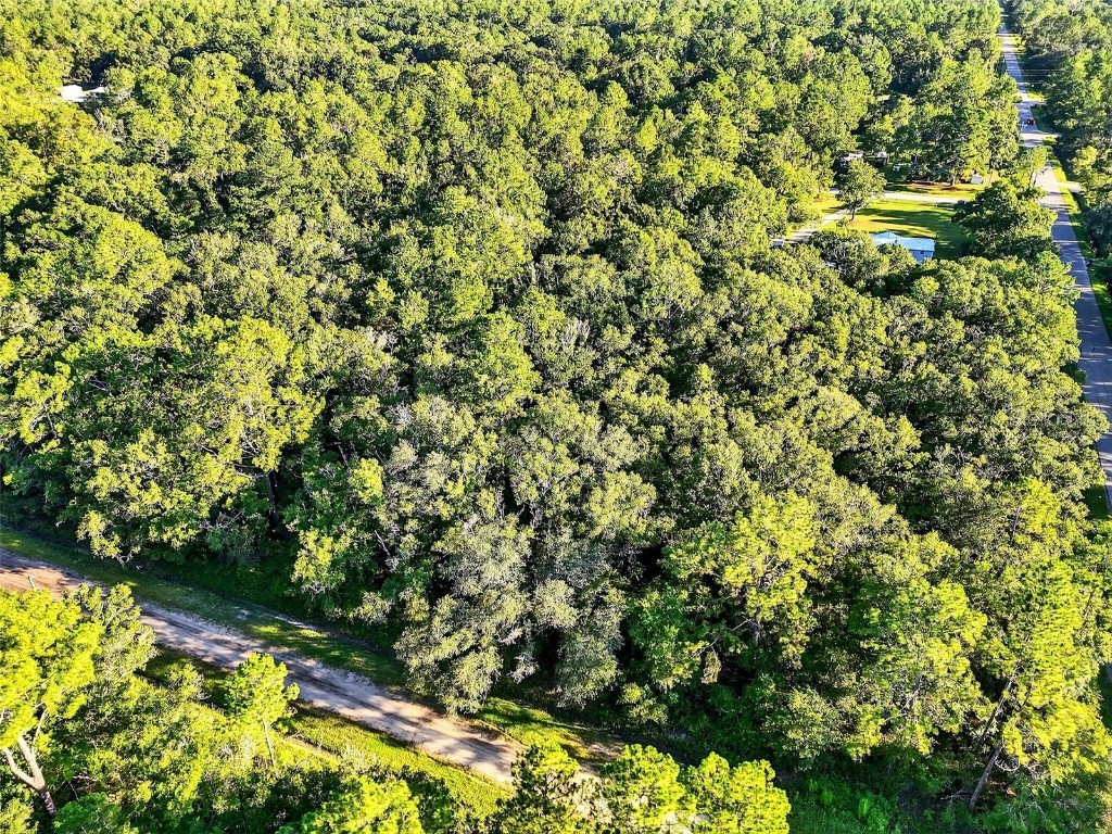 4700 Judy Street Hastings FL 32145 TB8410445 image1