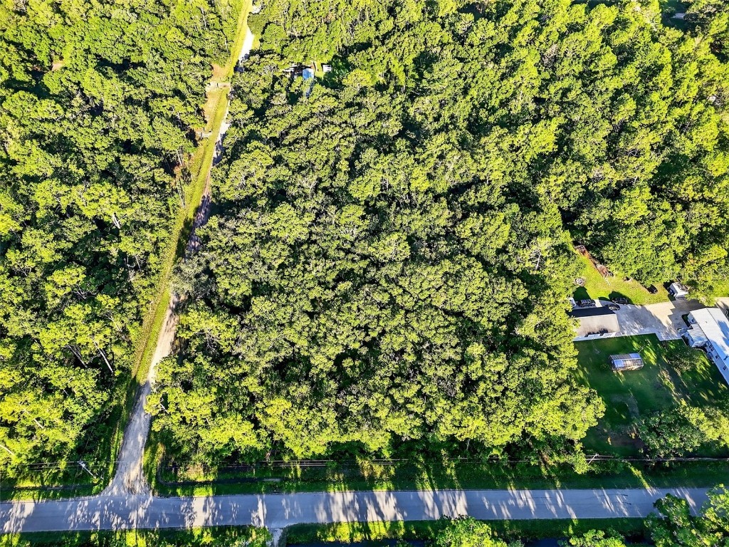 4700 Judy Street Hastings FL 32145 TB8410445 image10