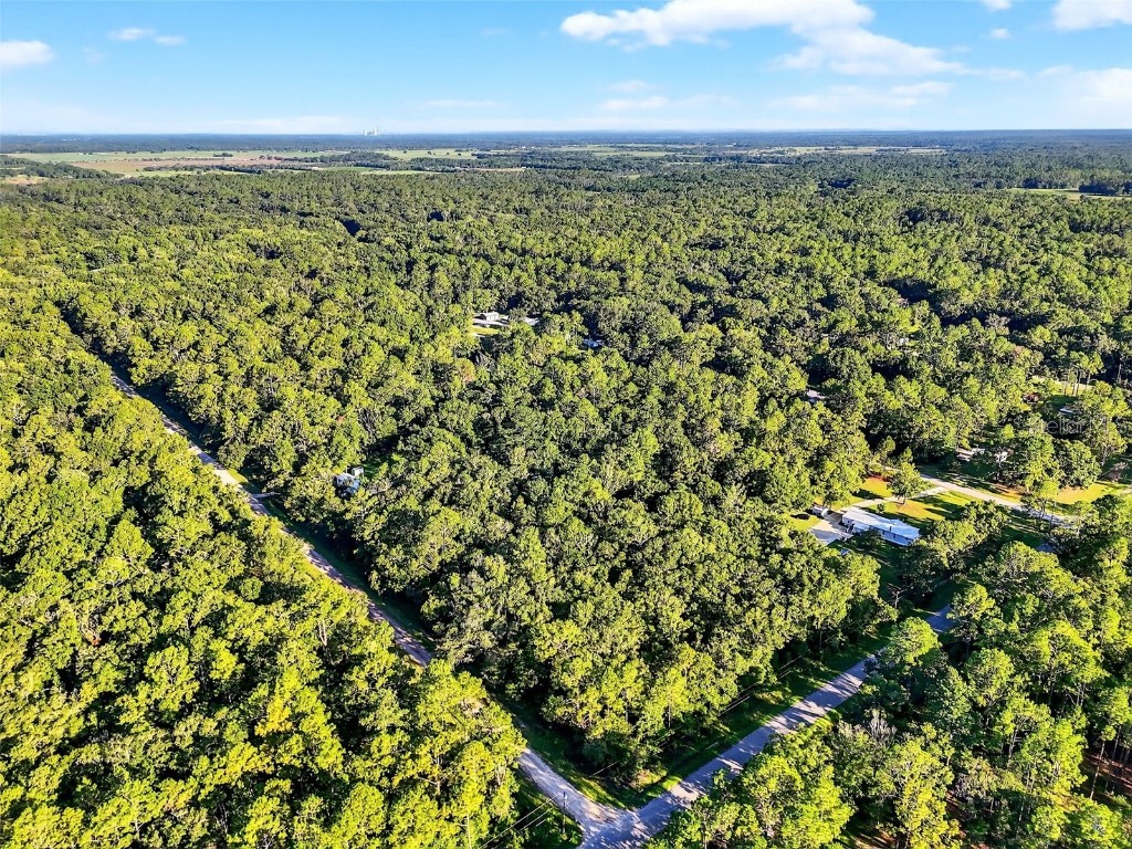 4700 Judy Street Hastings FL 32145 TB8410445 image11