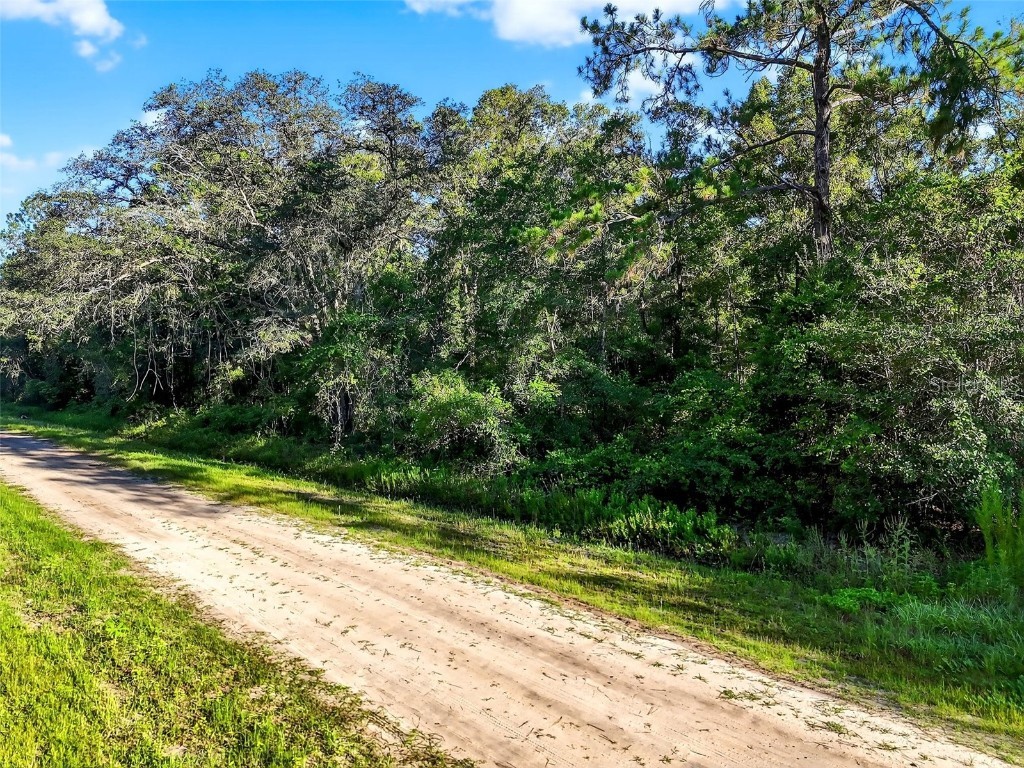 4700 Judy Street Hastings FL 32145 TB8410445 image12