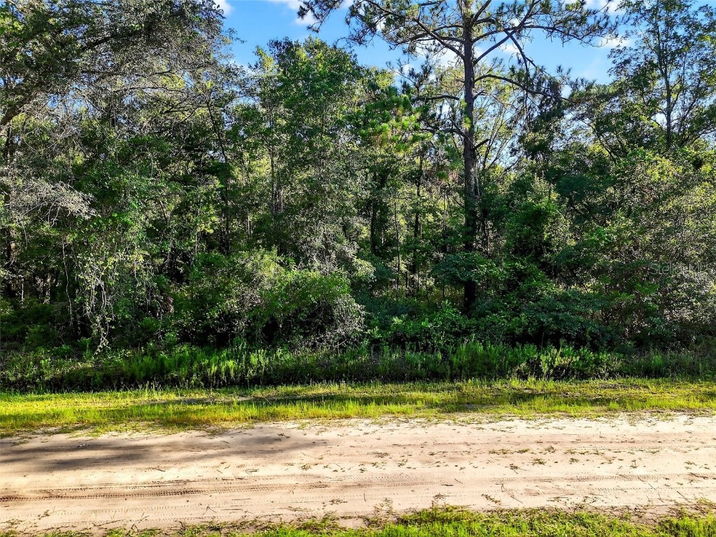 4700 Judy Street Hastings FL 32145 TB8410445 image13