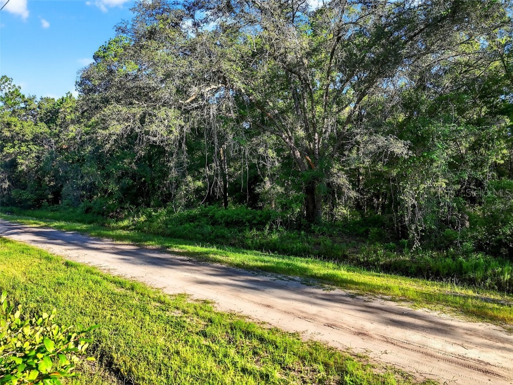 4700 Judy Street Hastings FL 32145 TB8410445 image14