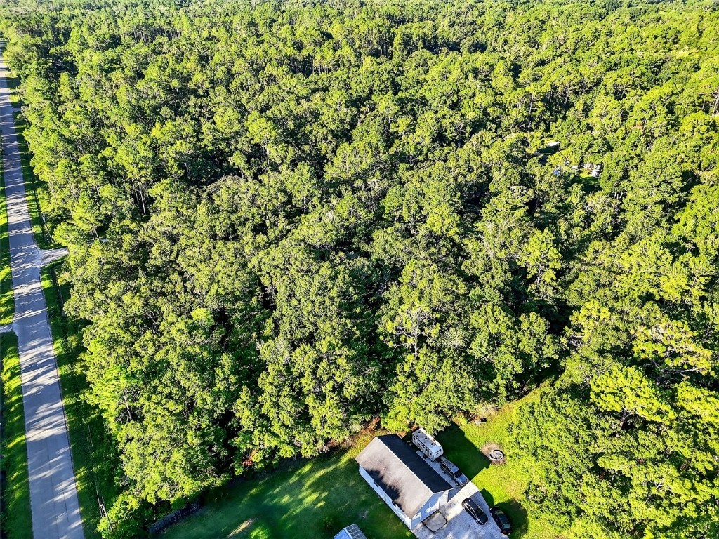 4700 Judy Street Hastings FL 32145 TB8410445 image2