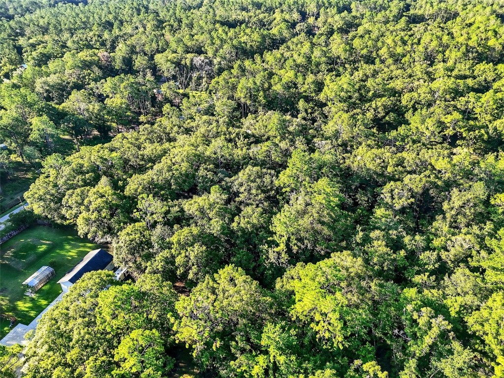 4700 Judy Street Hastings FL 32145 TB8410445 image3