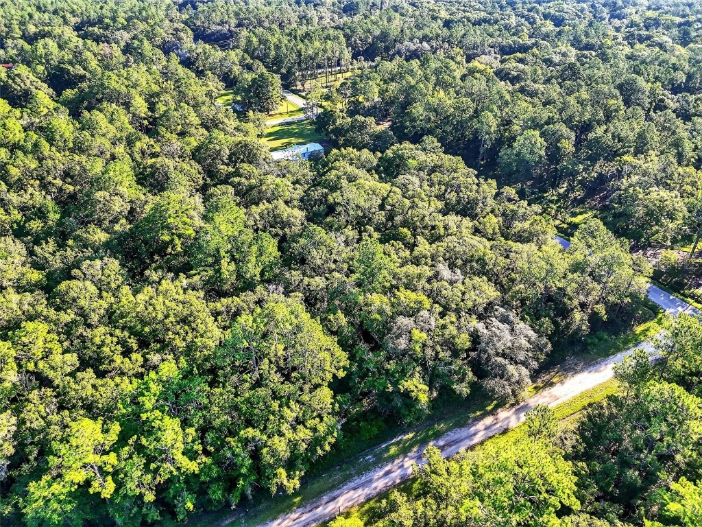 4700 Judy Street Hastings FL 32145 TB8410445 image4