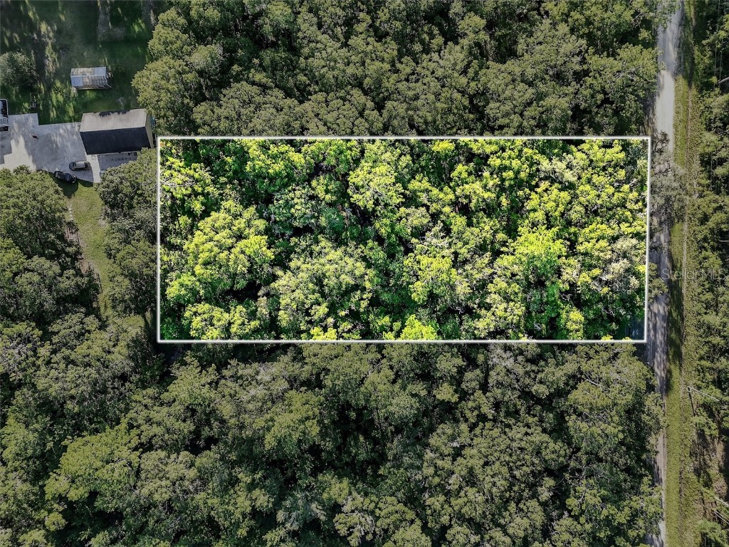 4700 Judy Street Hastings FL 32145 TB8410445 image5