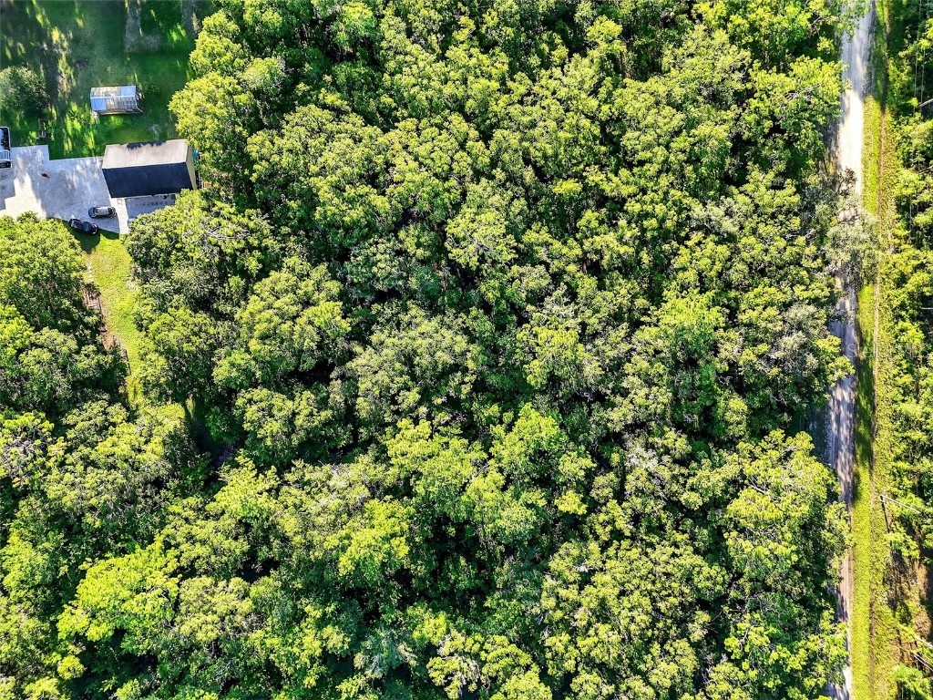 4700 Judy Street Hastings FL 32145 TB8410445 image6