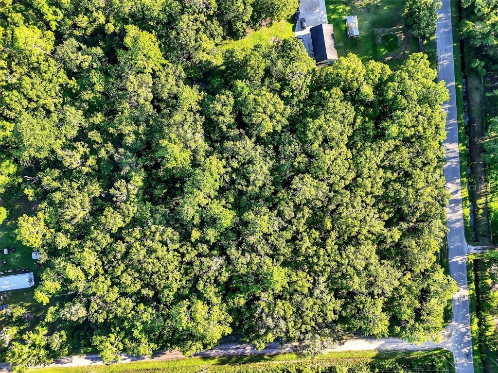 4700 Judy Street Hastings FL 32145 TB8410445 image7