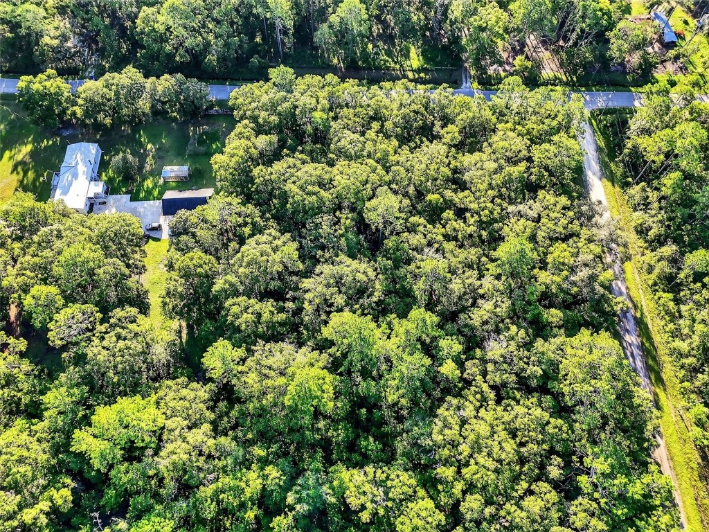 4700 Judy Street Hastings FL 32145 TB8410445 image8