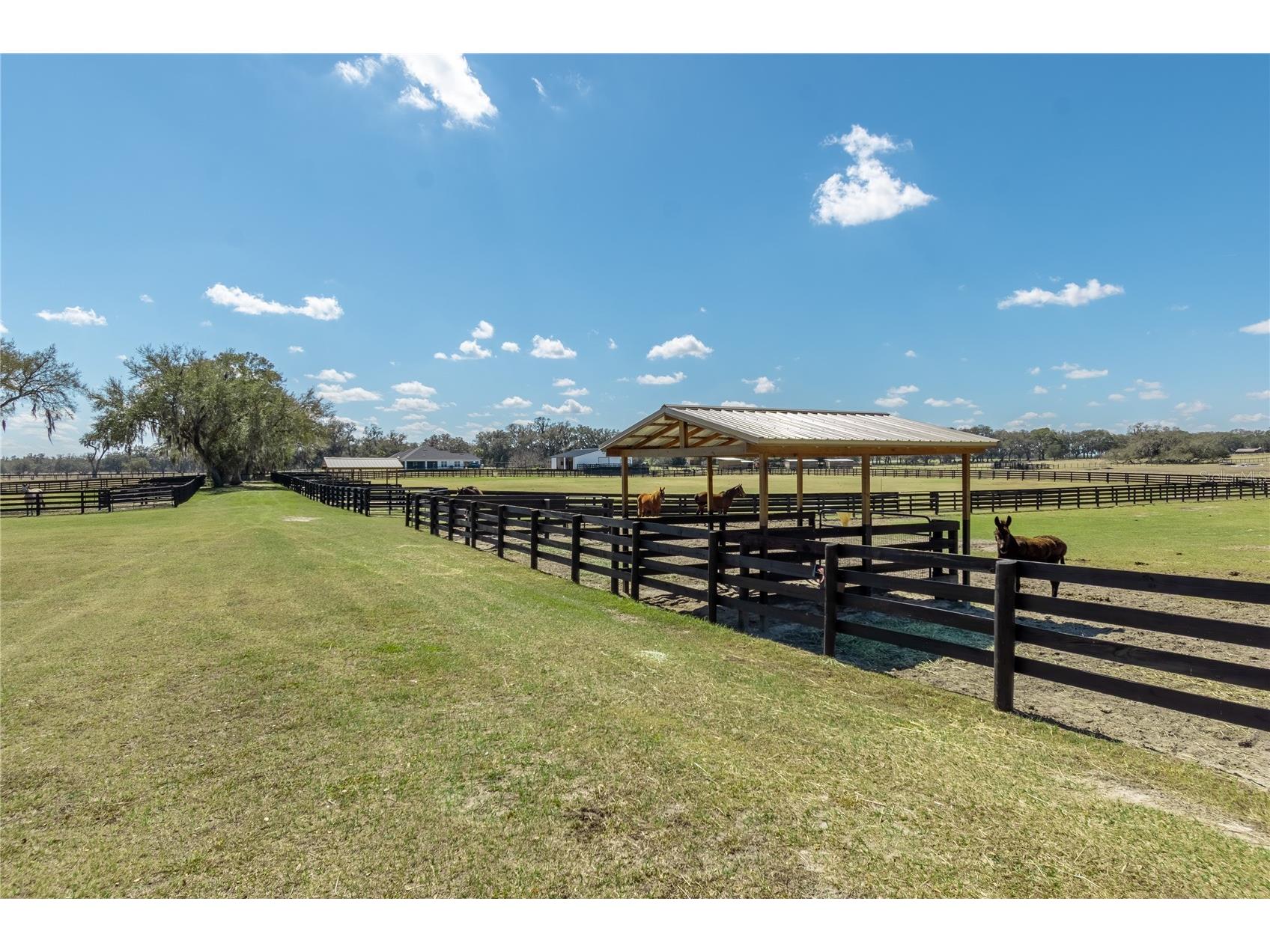 4700 NW 157th Court Morriston FL 32668 OM719562 image65
